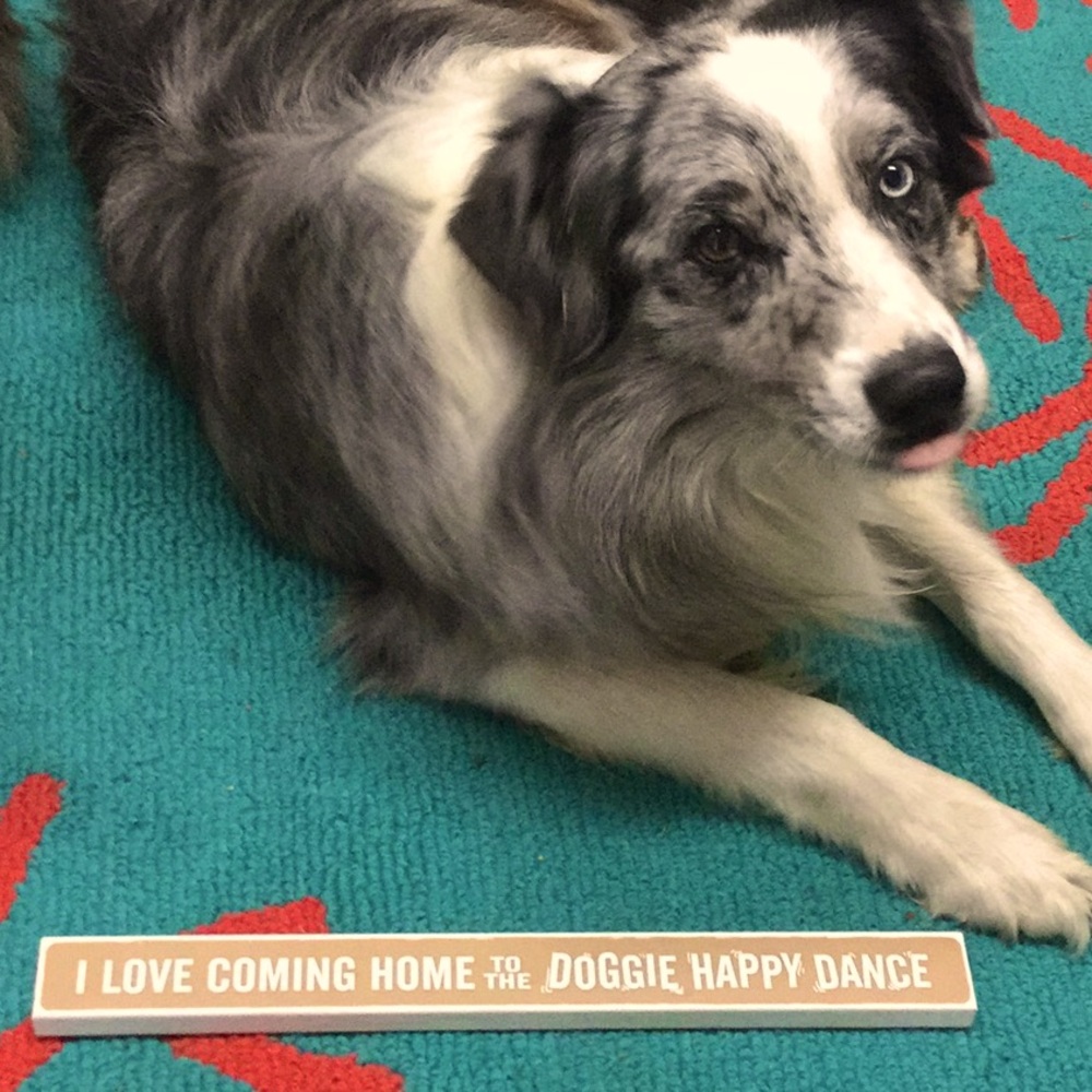 Doggie happy dance sign puppy place dog lodge cabin cowgirl rodeo barn